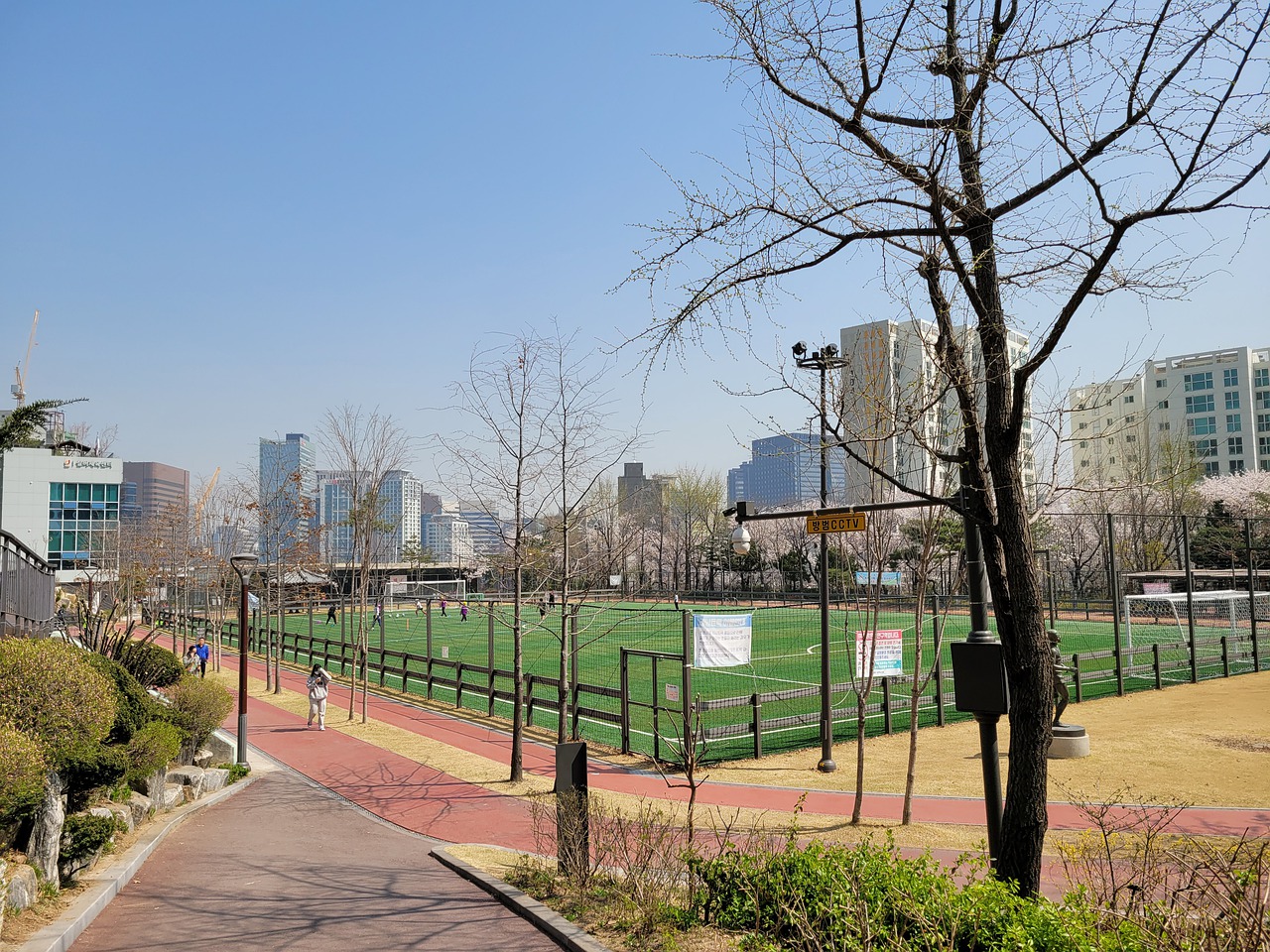 在半决赛中 在半决赛中